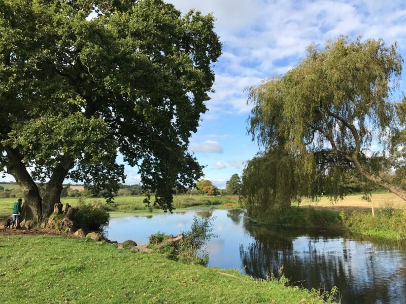 Photo of the River Otter in early autumn with mature trees
